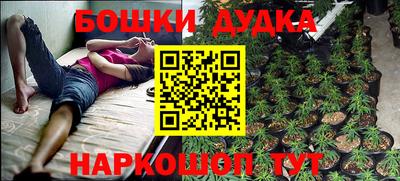 спиды Кинель