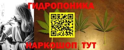 ГАЛЛЮЦИНОГЕННЫЕ ГРИБЫ Кимры