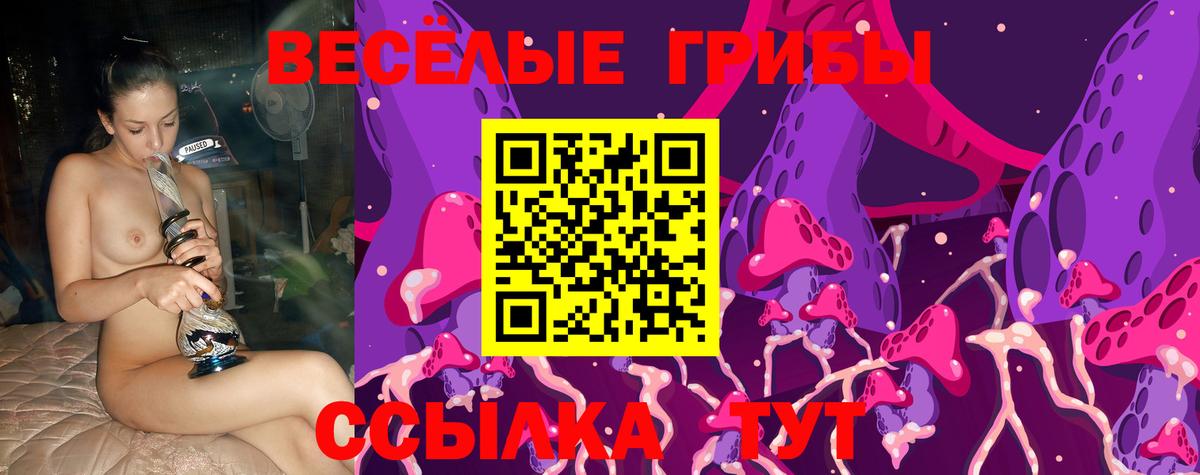 Юрга  Псилоцибиновые грибы Psilocybine cubensis  где можно купить   Псилоцибиновые грибы ЛСД  Вход с VPN 